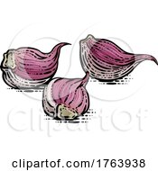 Poster, Art Print Of Garlic Vegetable Illustration In A Vintage Retro Woodcut Etching Style