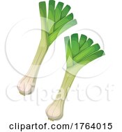 Leeks by Vector Tradition SM