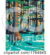 01/11/2022 - Caddo Lake State Park With Bald Cypress Trees In Harrison And Marion County East Texas USA WPA Poster Art