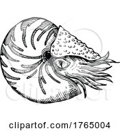 Poster, Art Print Of Nautilus