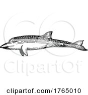 Poster, Art Print Of Sketched Dolphin
