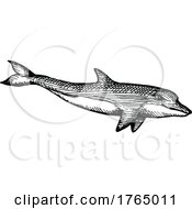 Poster, Art Print Of Sketched Dolphin
