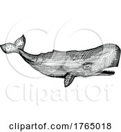 Poster, Art Print Of Sketched Whale
