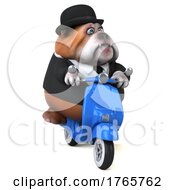 3d Gentleman Or Business Bulldog On A White Background