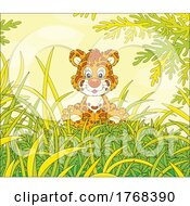 Poster, Art Print Of Tiger Cub