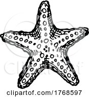 Poster, Art Print Of Sketched Starfish
