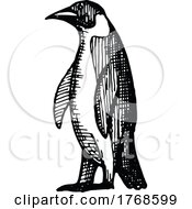 Poster, Art Print Of Sketched Penguin