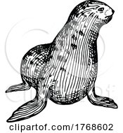 Poster, Art Print Of Sketched Sea Lion