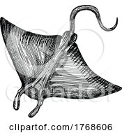 Poster, Art Print Of Sketched Stingray