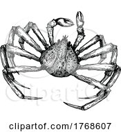 Sketched Crab