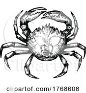Sketched Crab