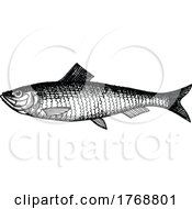 Poster, Art Print Of Fish