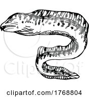 Poster, Art Print Of Eel