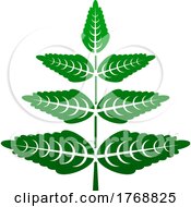 Poster, Art Print Of Green Plant