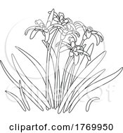 Poster, Art Print Of Cartoon Black And White Flowers