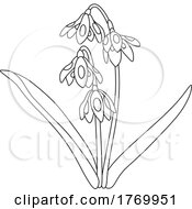 Cartoon Black And White Bluebell Flowers
