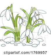 Poster, Art Print Of Cartoon Snowdrop Flowers