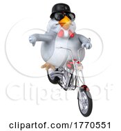 3d Chubby White Chicken Biker Riding A Chopper Motorcycle On A White Background