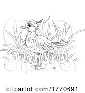 Poster, Art Print Of Cartoon Black And White Lapwing Bird