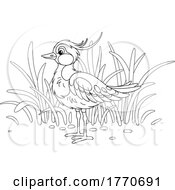 Cartoon Black And White Lapwing Bird