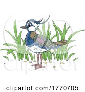 Cartoon Lapwing Bird