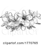 Plumeria Frangipani Tropical Bali Flower Woodcut by AtStockIllustration