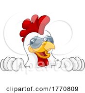 Chicken Rooster Cockerel Bird Sunglasses Cartoon