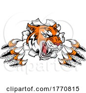 Tiger Shredding Through A Wall Or Banner by AtStockIllustration