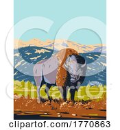 North American Bison Roaming In The Prairie Of Yellowstone National Park Wyoming WPA Poster Art