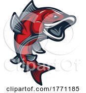 Carp Fish