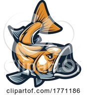 Poster, Art Print Of Carp Fish