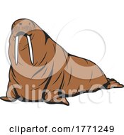 Poster, Art Print Of Walrus