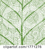 Poster, Art Print Of Skeleton Leaf
