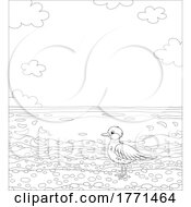 Cartoon Black And White Seagull On A Beach