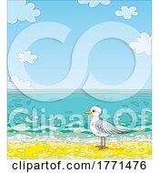 Cartoon Seagull On A Beach