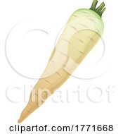 Parsnip by Vector Tradition SM