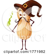 Peanut Wizard Food Character by Vector Tradition SM