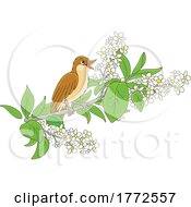 Poster, Art Print Of Cartoon Nightingale Bird Perched On A Floral Branch