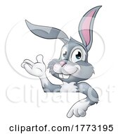 Easter Bunny Rabbit