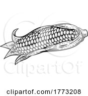 Corn Vegetable Vintage Woodcut Illustration by AtStockIllustration