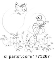 Poster, Art Print Of Cartoon Black And White Birds And Missile In The Ground