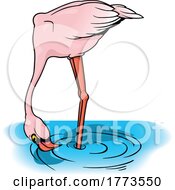 Poster, Art Print Of Wading Flamingo