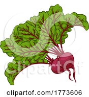 Beet Or Beetroot Vegetable Cartoon Illustration