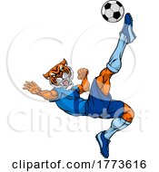 Poster, Art Print Of Tiger Soccer Football Player Animal Sports Mascot