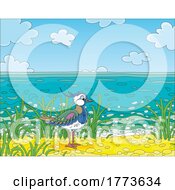 Lapwing Bird On A Beach
