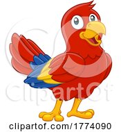 Poster, Art Print Of Parrot Red Macaw Bird Cartoon Wildlife Mascot