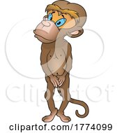 04/19/2022 - Cartoon Monkey