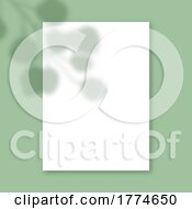 Poster, Art Print Of Plant Shadow On Blank White Paper Background