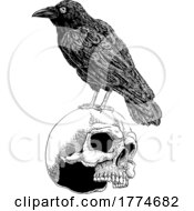 Poster, Art Print Of Crow Raven Corvus Bird And Skull Vintage Woodcut