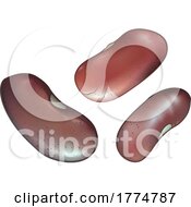 Poster, Art Print Of 3d Red Beans